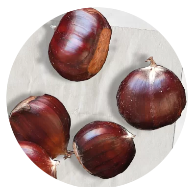 Chestnut Extract